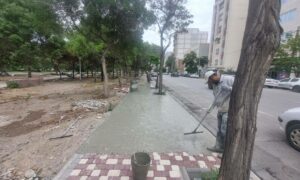 IMG_20250713_063037
