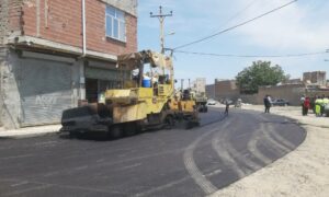 IMG_20250725_110215