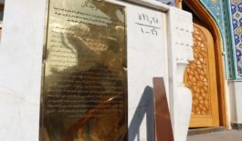 IMG_20250725_113121_100