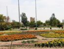 IMG_20250725_190913