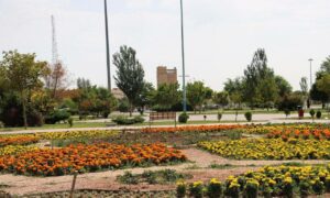IMG_20250725_190913