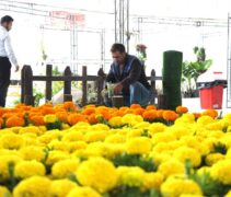 IMG_20250726_131134
