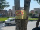 IMG_20250809_093206_934