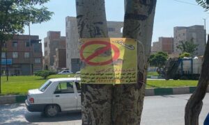 IMG_20250809_093206_934