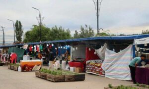IMG_20250818_124134_939