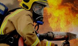 IMG_20241127_064255_197