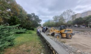 IMG_20250915_124526_023
