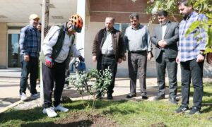 IMG_20251007_101120_369