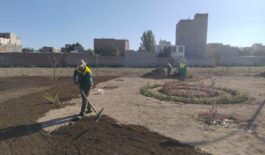 IMG_20251016_071614_489