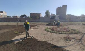 IMG_20251016_071614_489