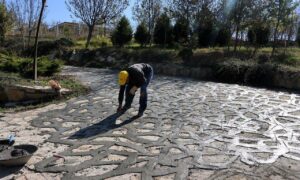 IMG_20251026_155958