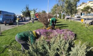 IMG_20251028_175958_697