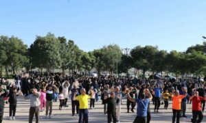 IMG_20251031_100317_294