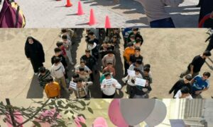 IMG_20251102_093303_346