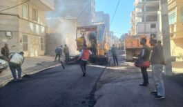 IMG_20251124_191245_314