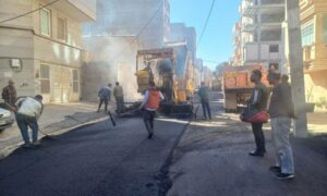 IMG_20251124_191245_314