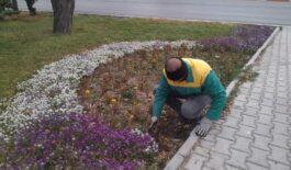 IMG_20251130_185316_761