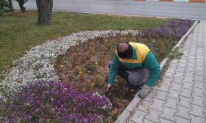 IMG_20251130_185316_761