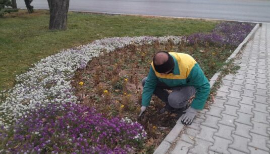 IMG_20251130_185316_761