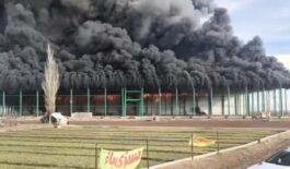 ۷d00c9d8-22a1-4adf-930e-6cc0868c2eed