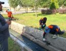 IMG_20260811_081011_338