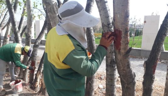 IMG_20261017_125955